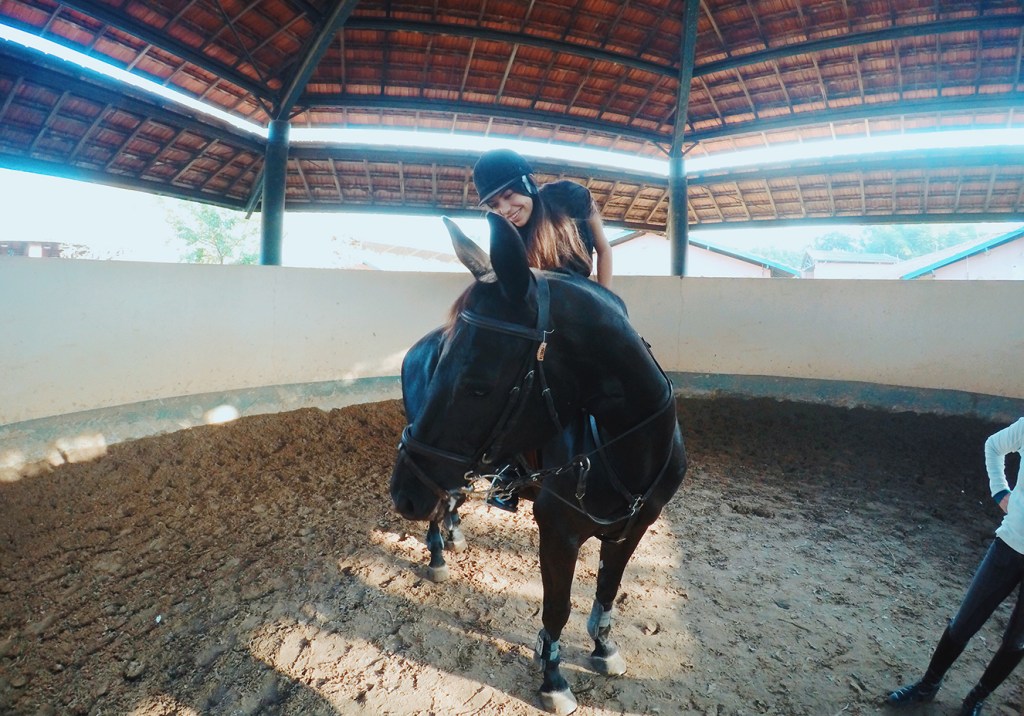 O que aprendi na minha primeira aula de hipismo