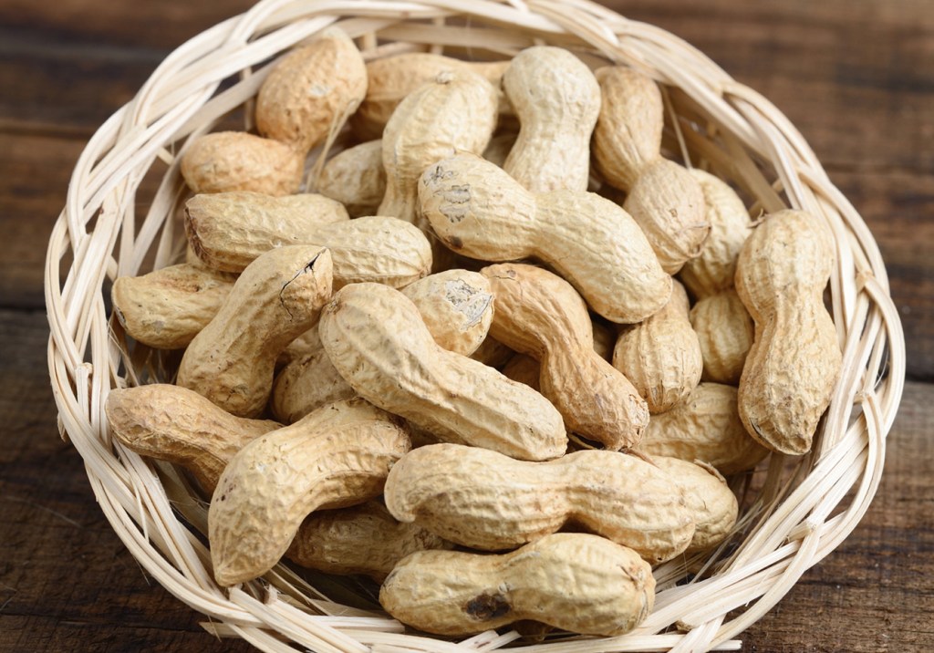 Amendoim ajuda a chapar a barriga, sabia?