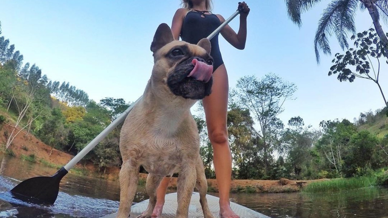 Reprodução/ Instagram/ alemonteiro84