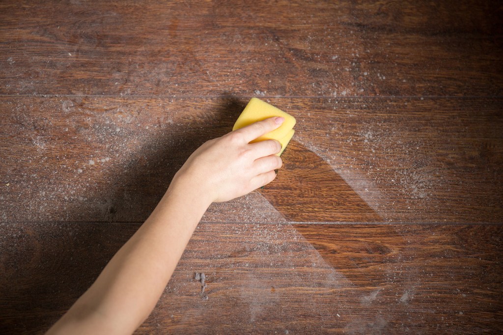 Há 9 mil tipos de micróbios na poeira de sua casa, sugere estudo