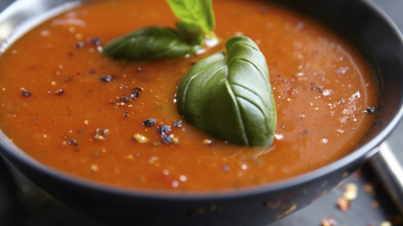 Sopa-creme de lentilha germinada e tomate