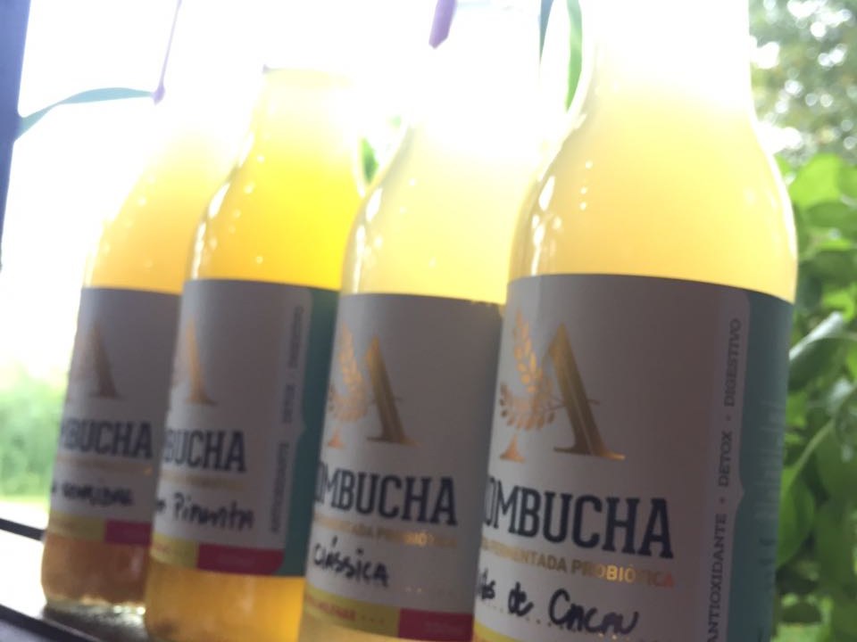 Quatro garrafas de kombucha