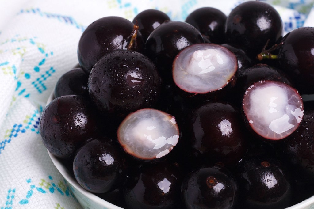 Saiba se a casca da jabuticaba é comestível e descubra seus benefícios à saúde