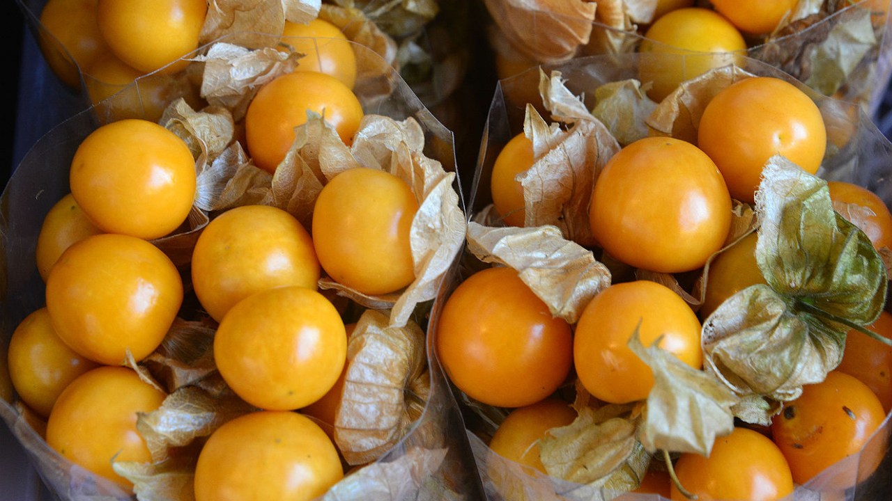 Fruta: physalis ou golden berry