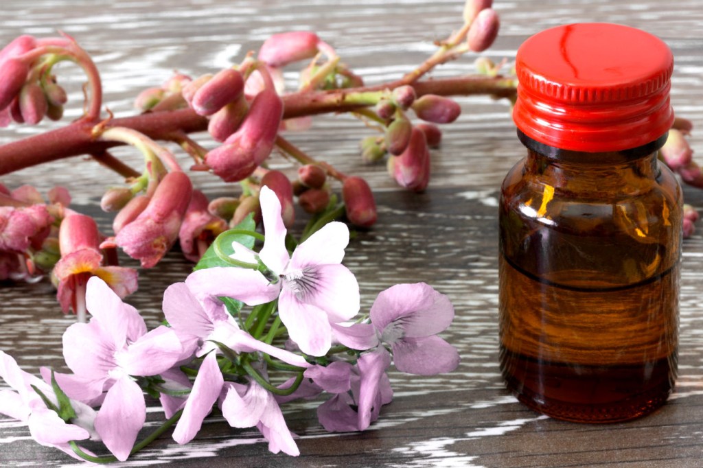 Conheça 4 florais que ajudam a diminuir tristeza e frustração