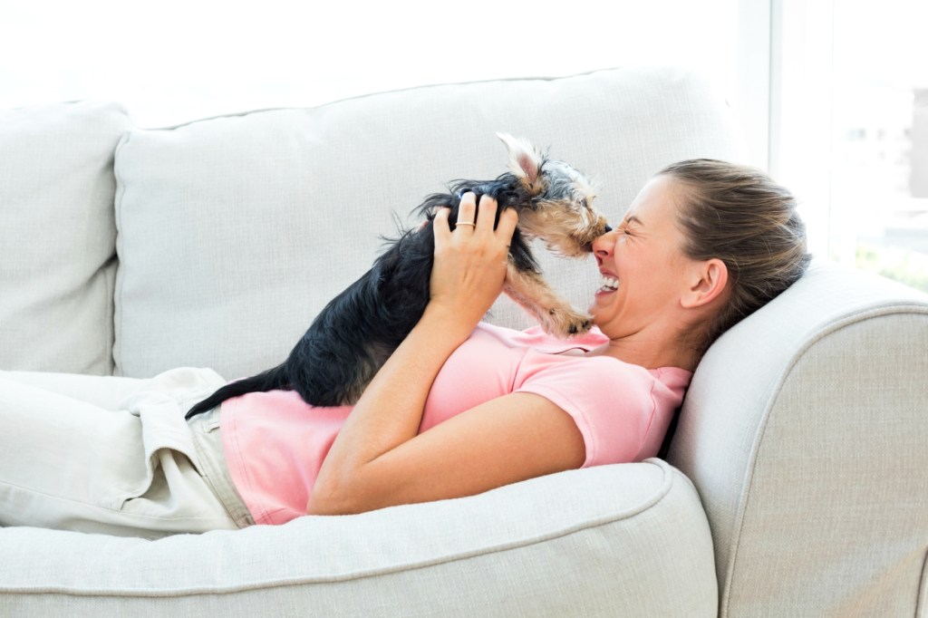 Brincar com cães reduz stress por até 10 horas, revela estudo