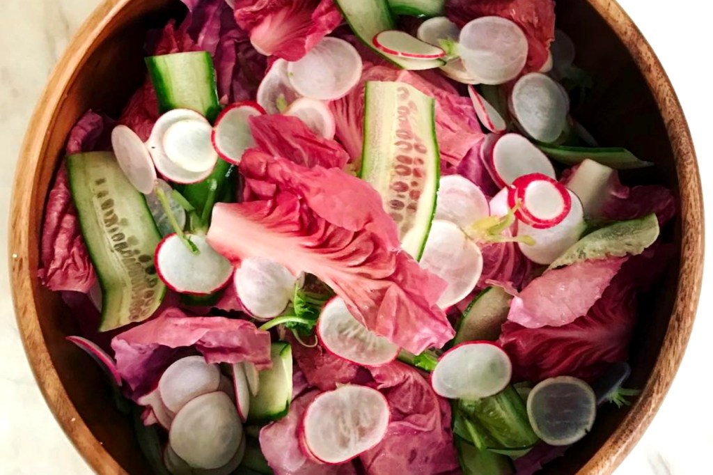 Conheça o radicchio rosa, alimento que é sucesso no Instagram
