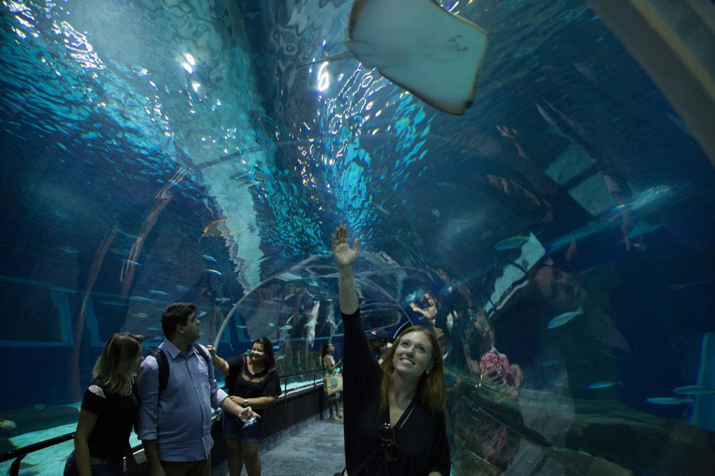 Está estressada? Observe peixes em um aquário e relaxe