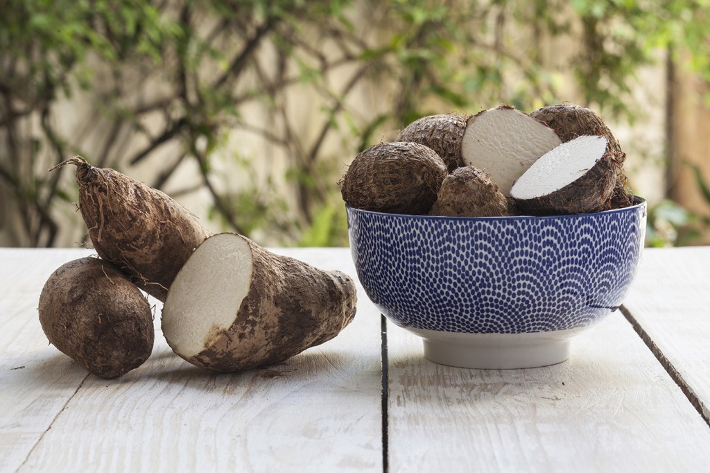 O inhame é realmente bom em casos de dengue?