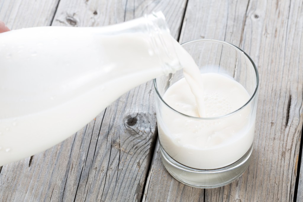 Saiba onde encontrar B12: 11 alimentos essenciais para sua dieta