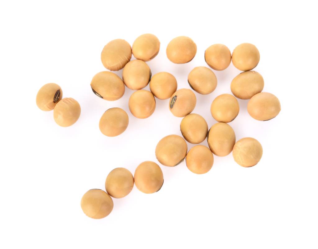 Directly Above Shot Of Soya Beans Against White Background