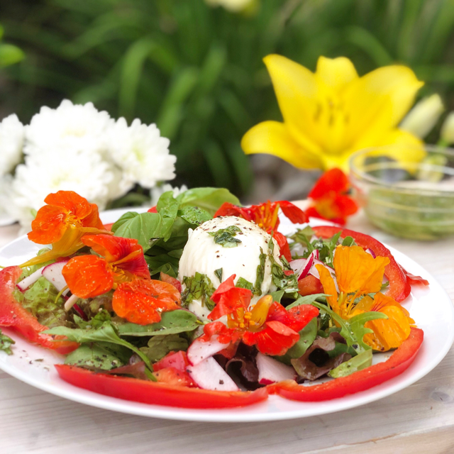 Receitas com flores comestíveis