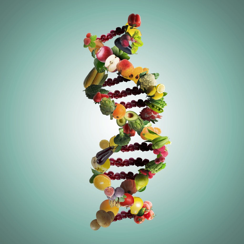fita de DNA montada com alimentos diversos