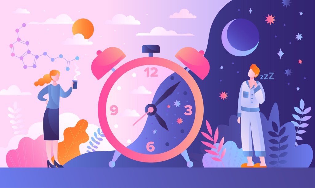 Ciclo circadiano: existe horário ideal para acordar, dormir e comer?