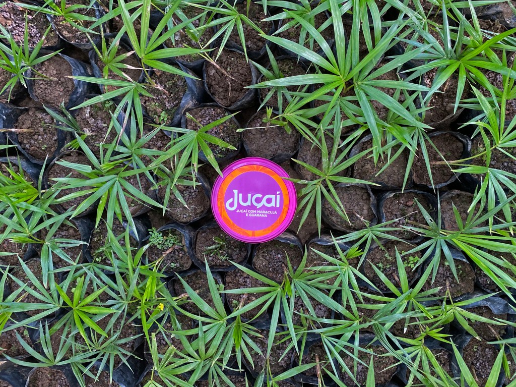 Juçaí