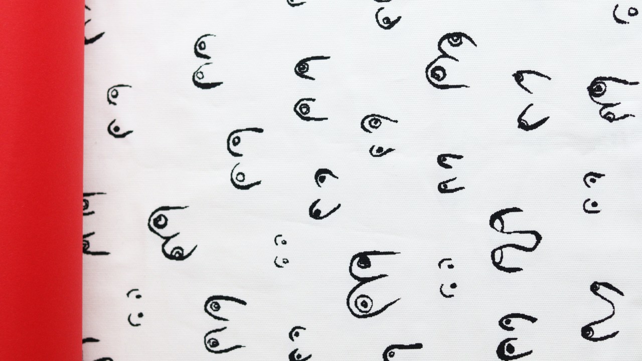 desenho de diversos seios de jeitos diferentes