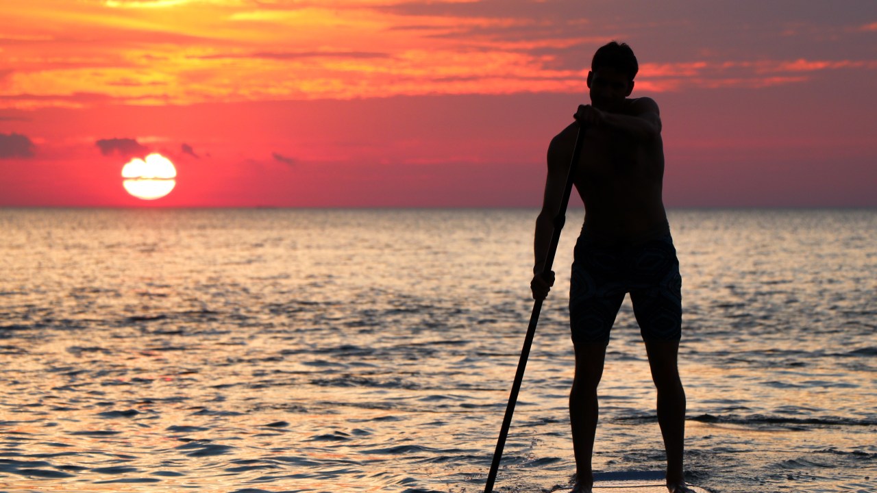 Qual movimento é fundamental no seu dia a dia?