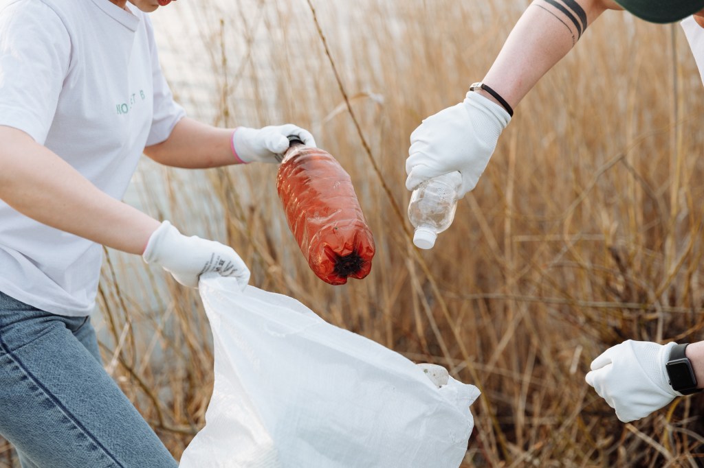 Como separar o lixo reciclável (corretamente)