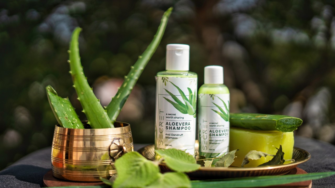 suco de aloe vera