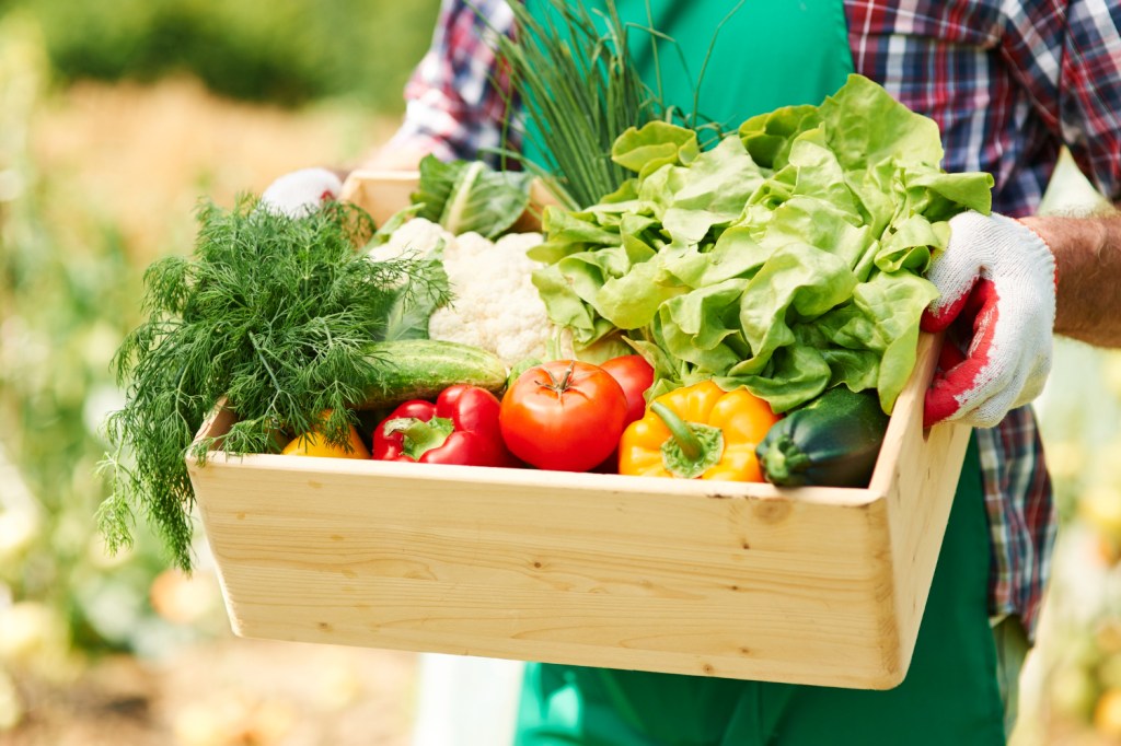 close-up-box-with-vegetables-hands-mature-man alimentos orgânicos