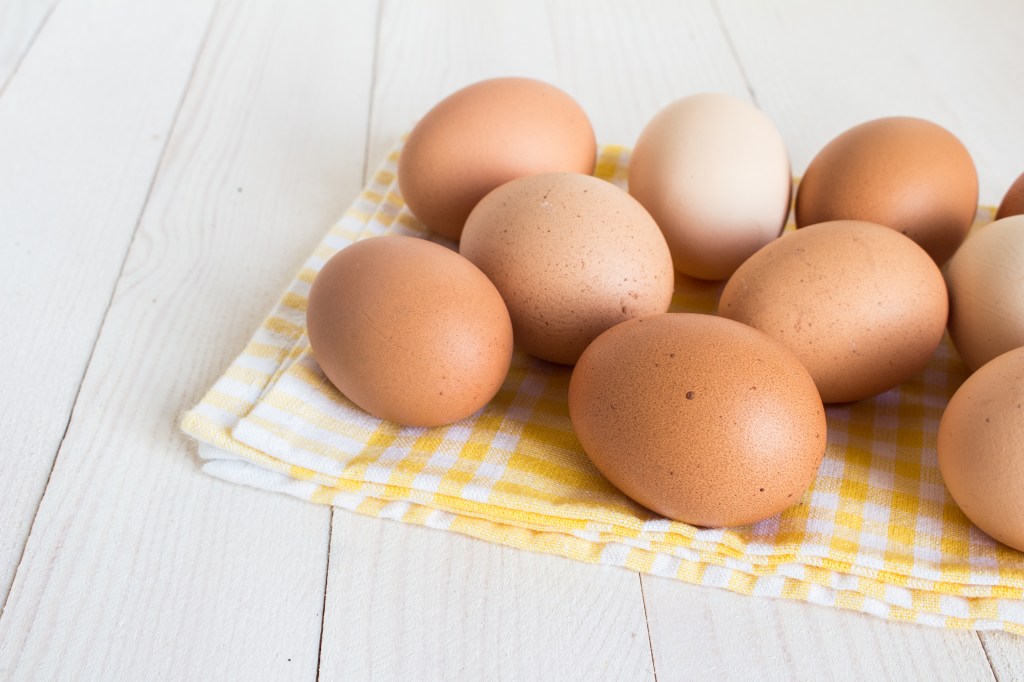 Profissional esclareceu mitos e verdades sobre a casca e gema dos ovos