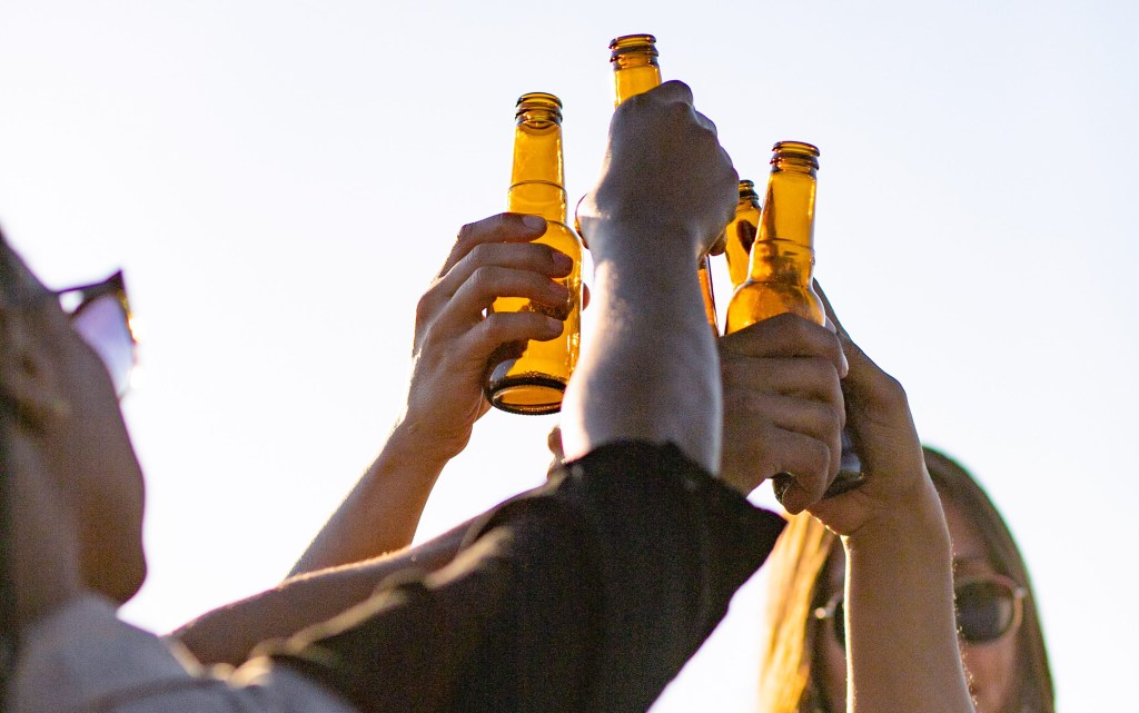 Como escolher uma cerveja leve para curtir o Carnaval? Nutri dá as dicas