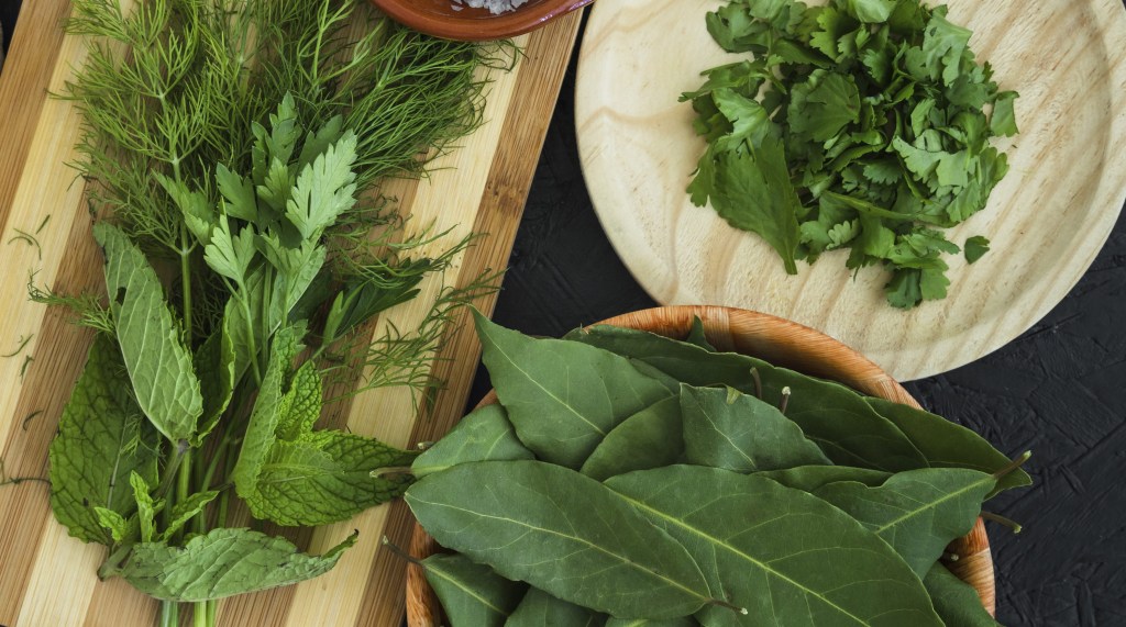 Temperos para cozinhar: nutri ensina como usar salsa, coentro e outros