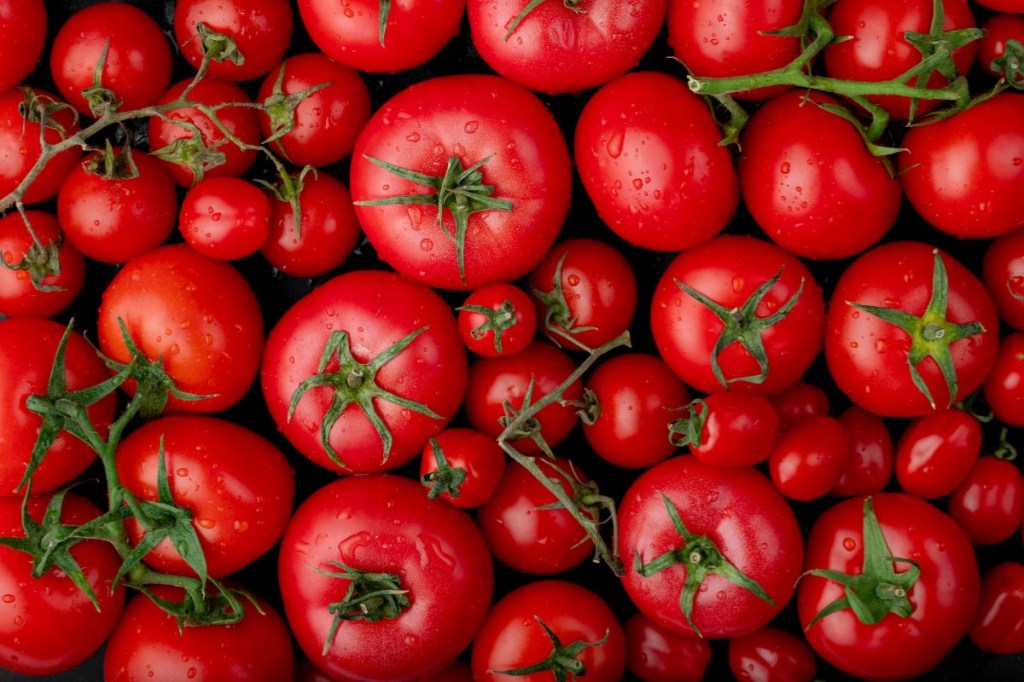 Os efeitos positivos do licopeno na saúde e fontes ricas desse carotenoide