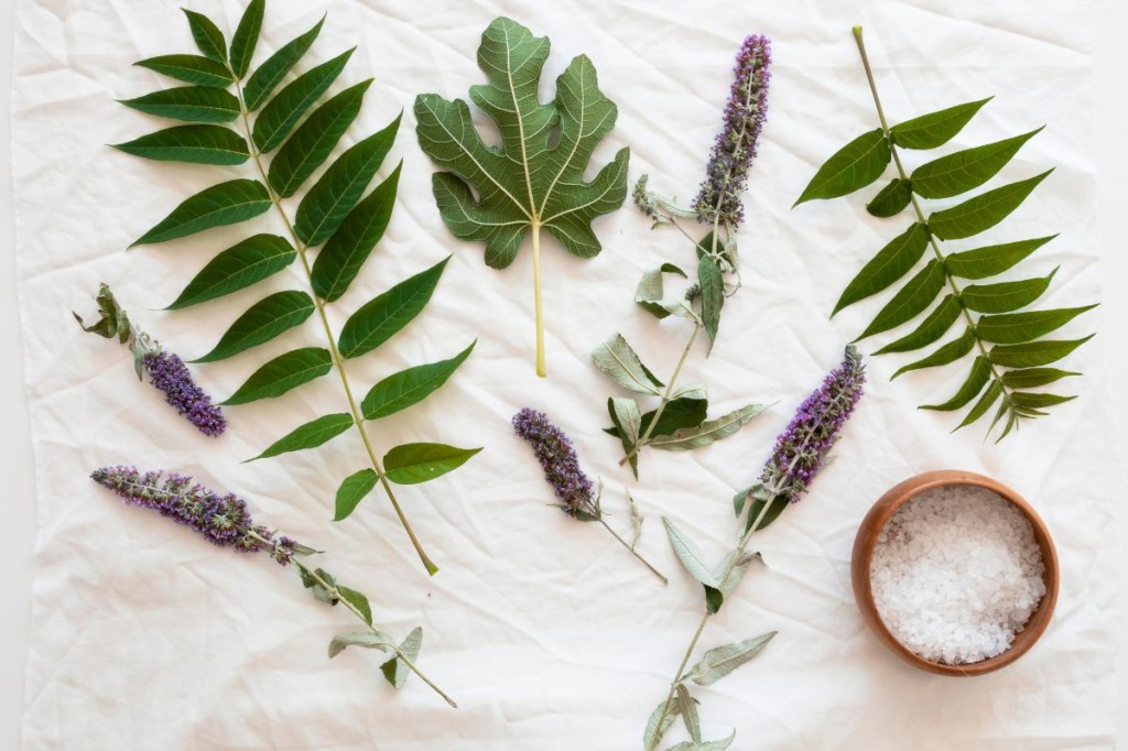 Purifique suas energias: dicas de banhos com ervas para iniciar o ano renovado