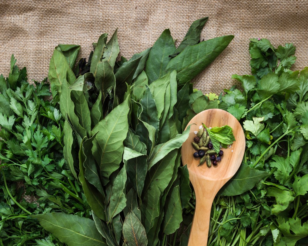 O que são PANCs e como incorporá-las na sua alimentação diária