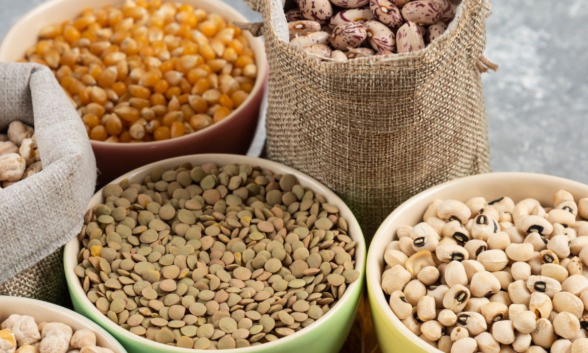 proteína vegetal as melhores fontes
