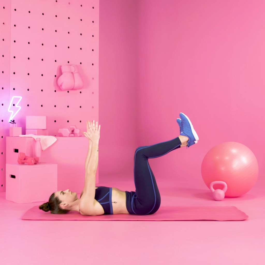 inseto morto estático