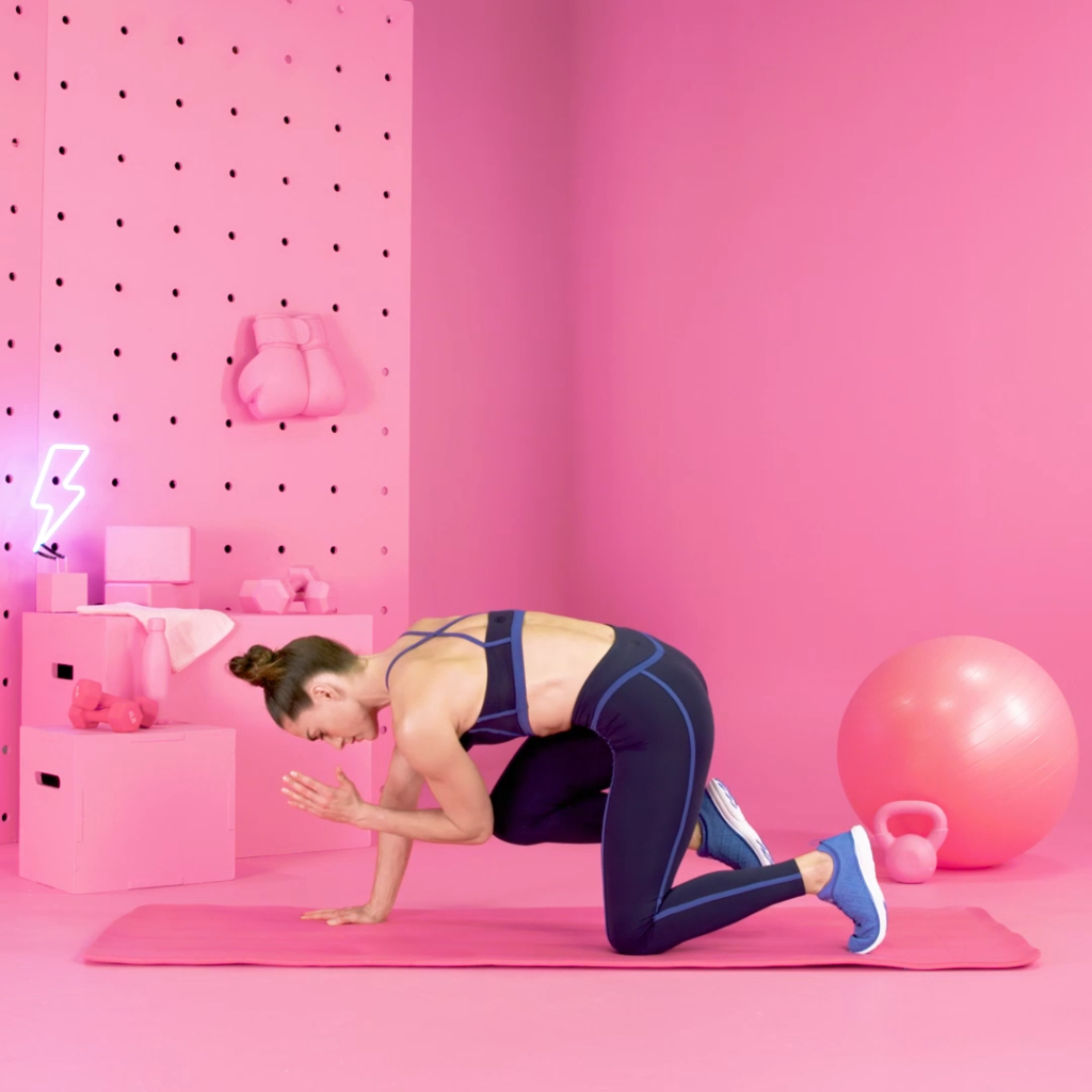 cão passaro em quatro apoios