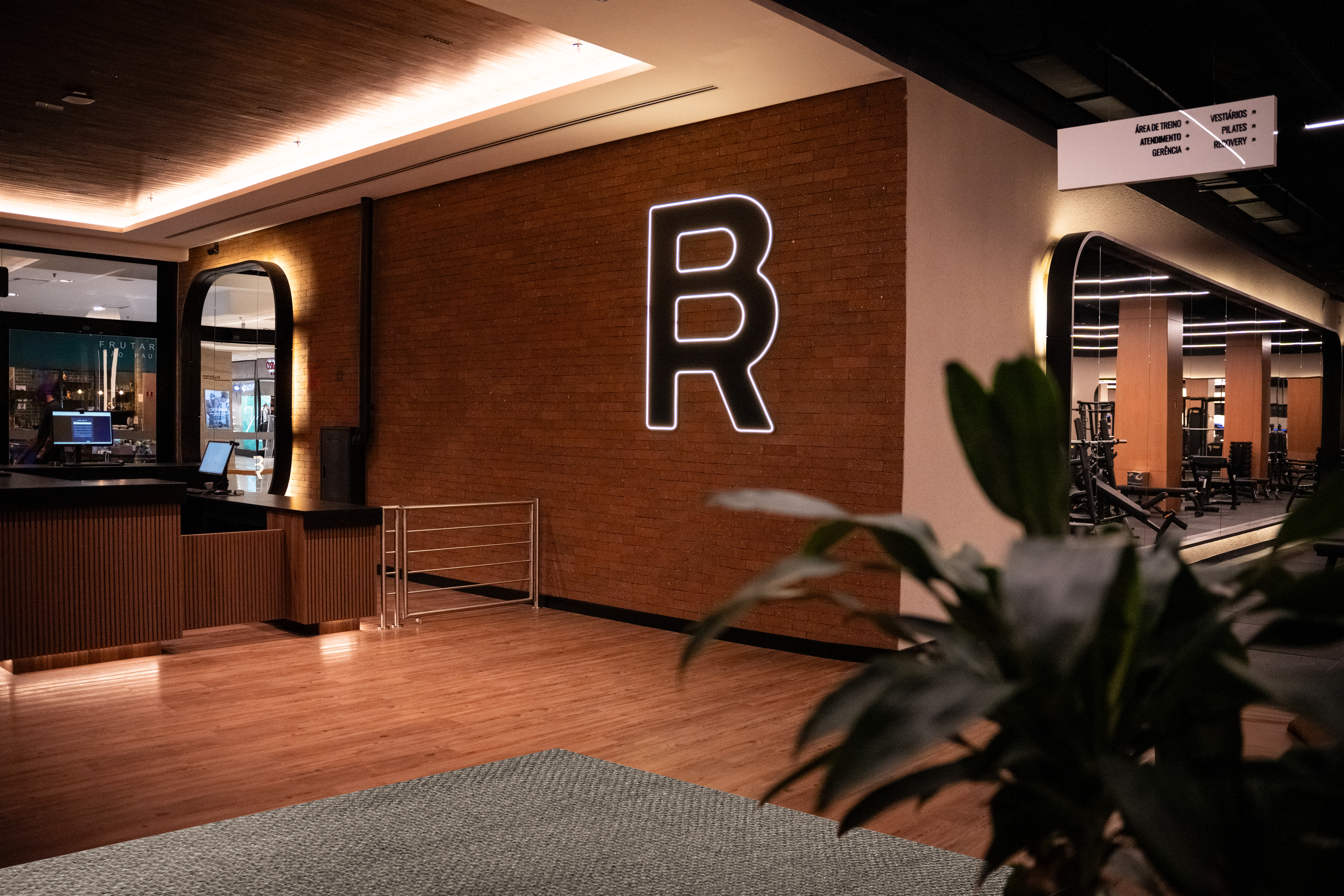 bio-ritmo-novo-conceito