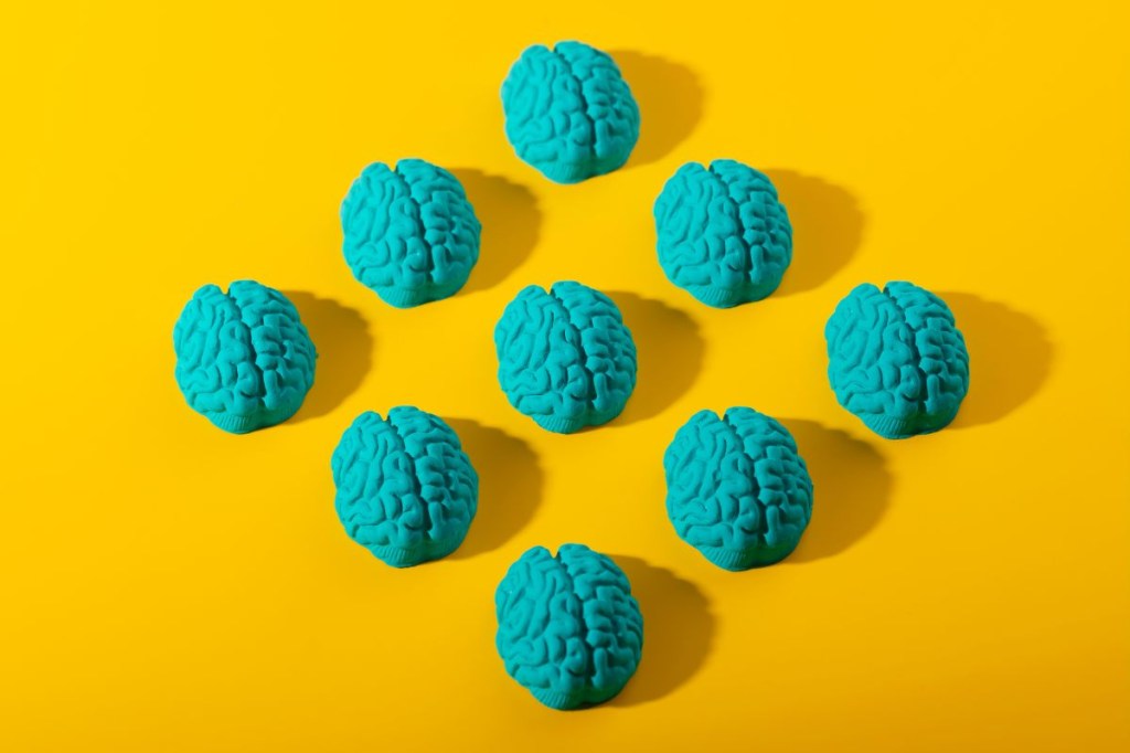 Cuidado mental: Alimentos que ajudam a manter o cérebro ativo