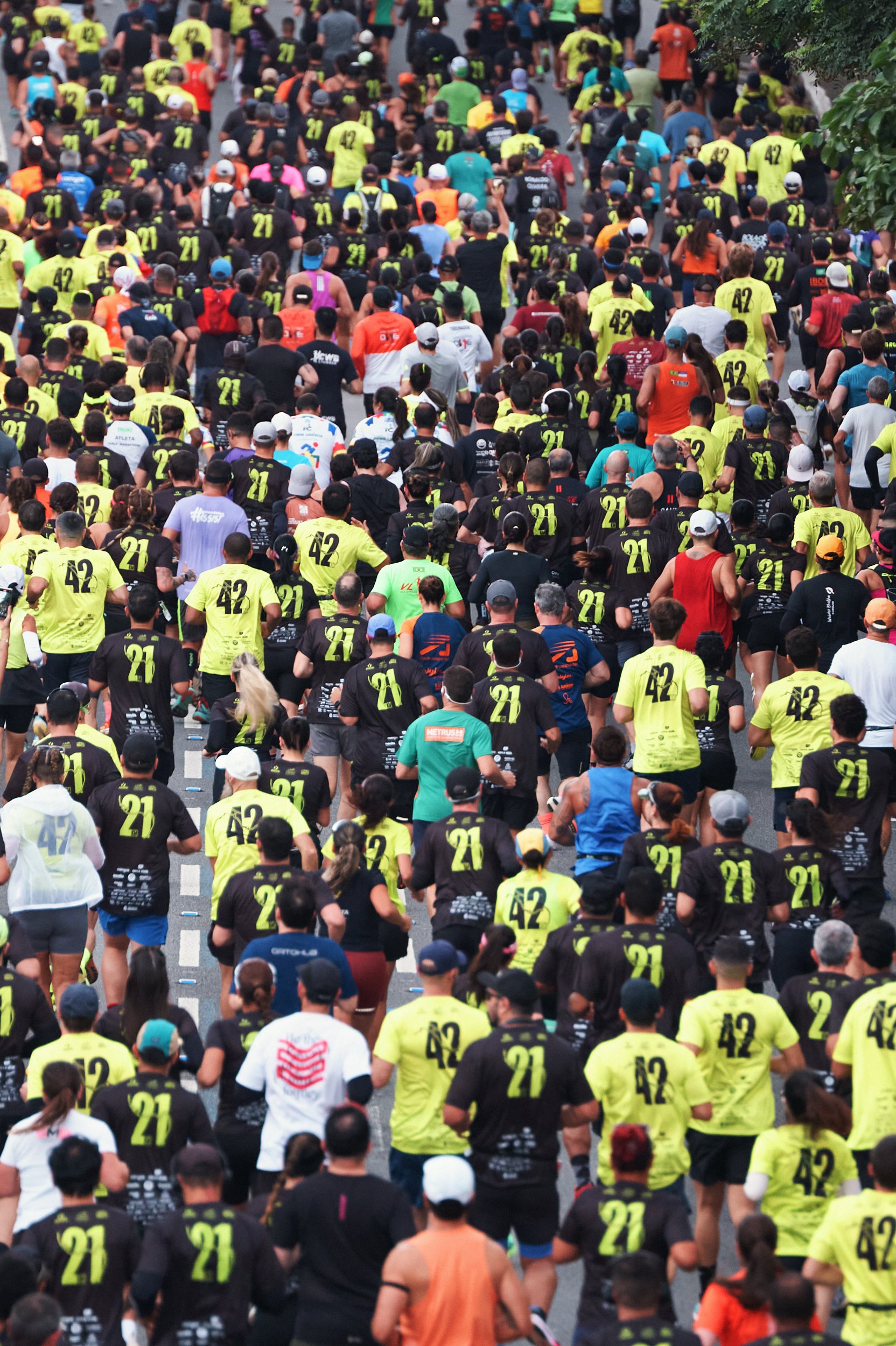 Maratona Internacional de S&atilde;o Paulo
